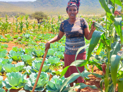Cynthia’s facilitation skills came in handy during the farmers’ field day a hosted by Namaiyana Samuli FFS