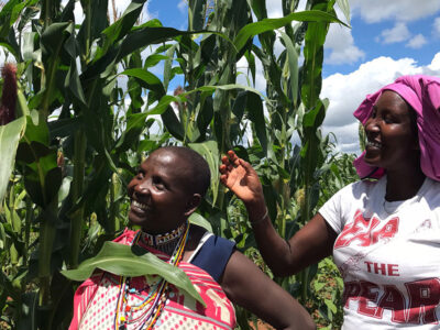 inspiring-stories-01