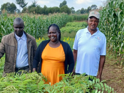 inspiring-stories-03