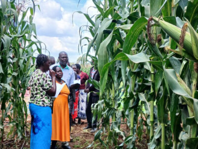 inspiring-stories-05